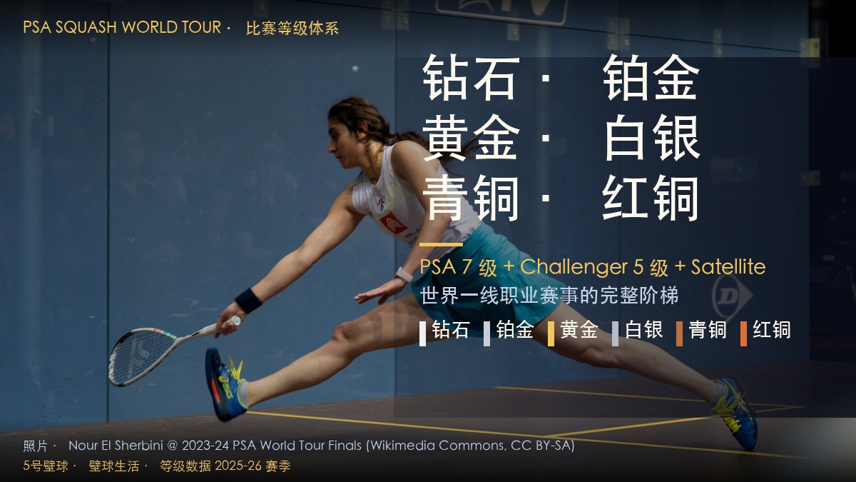 PSA 比赛等级体系 · 钻石铂金黄金白银青铜红铜 + Challenger + Satellite